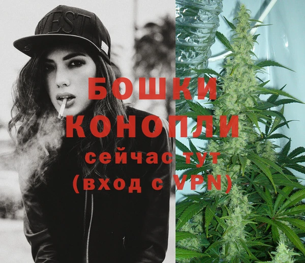 apvp Горно-Алтайск