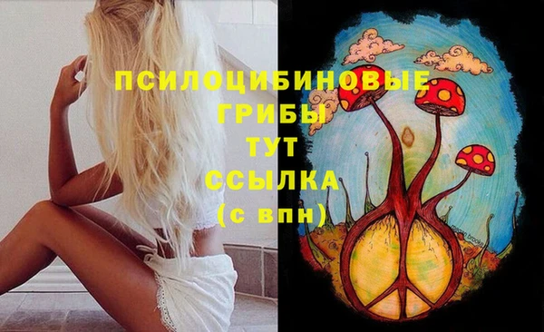 apvp Горно-Алтайск